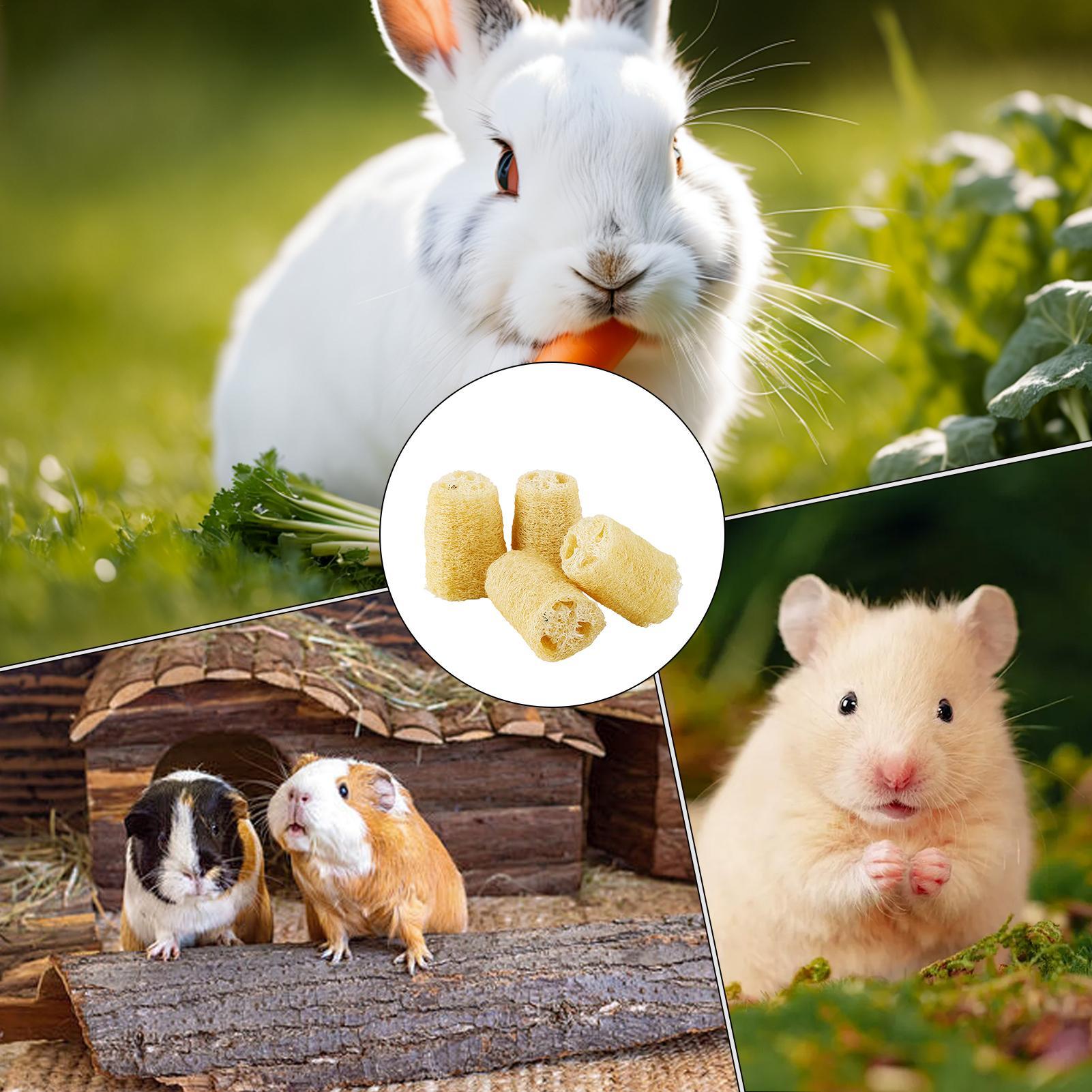 Pet Supplies Pet Shop - ของเล่นเคี้ยวสำหรับกระต่าย 4 ชิ้น ใยบวบ ของเล่นเคี้ยวสำหรับชินชิลล่า อุปกรณ์เคี้ยวสำหรับสัตว์เลี้ยงขนาดเล็ก