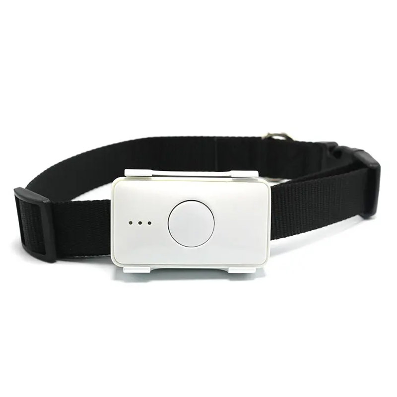 Pet Gps Tracker Collar - อุปกรณ์ติดตามสัตว์เลี้ยงกันน้ำ STLFSkylab พร้อม GPS ติดตามขนาดเล็ก ปลอกคอติดตามสัตว์เลี้ยงอัจฉริยะ