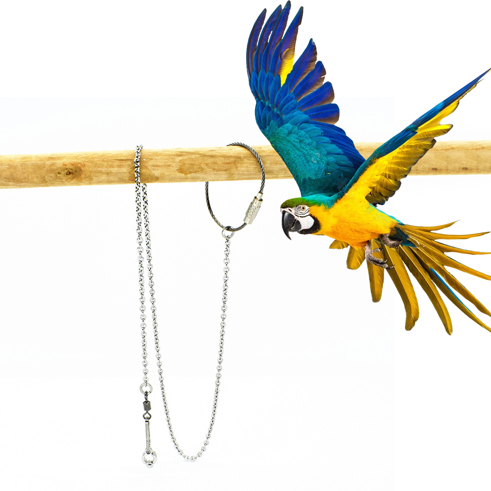 Pet Supplies Ringwood - 1 ชิ้นสัตว์เลี้ยง Parrot แหวนขาข้อเท้าเท้าแหวนนกบินกลางแจ้งกิจกรรมการฝึกอบรมขาตั้งเปิดอุปกรณ์เสริม Bird Supplies