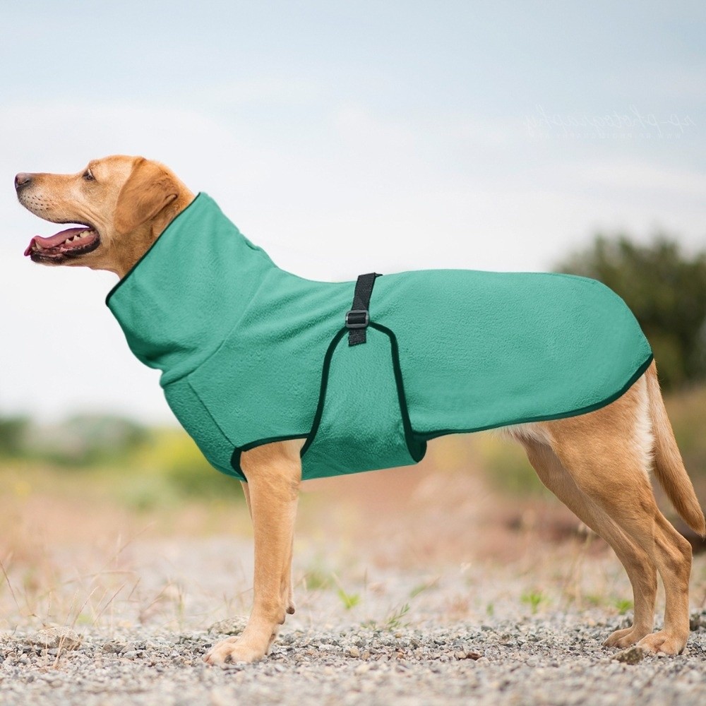 เสื้อผ้าสุนัขสีพื้นสำหรับฤดูหน - Dog Anxiety Vest บทวิจารณ์และราคา
