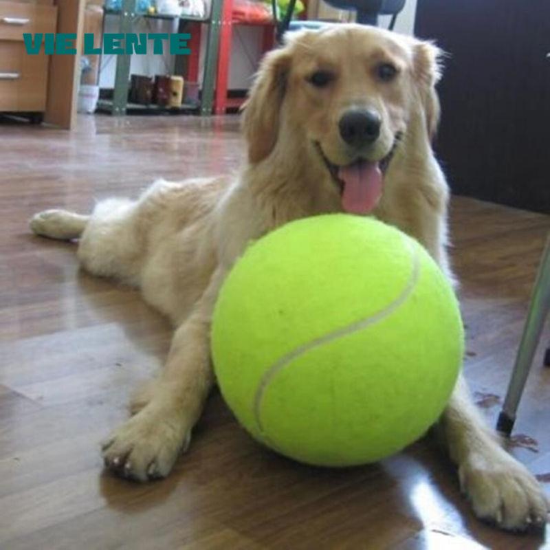 7/8/9.5 นิ้วสุนัขลูกเทนนิสยักษ - Pet Supplies In Bulk บทวิจารณ์และราคา