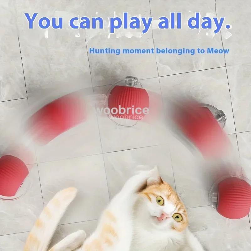 ของเล่นแมวอัจฉริยะ HOT ลูกบอลก - Pet Supplies First บทวิจารณ์และราคา