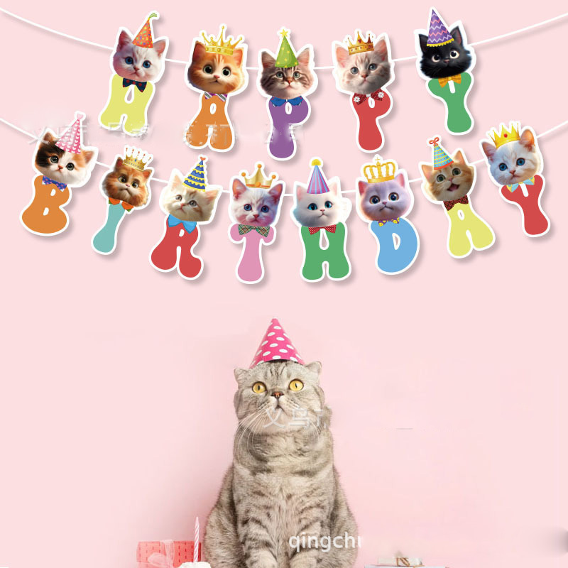 Cat Face แขวน Swirl ตกแต่งแบนเ - Pet Supplies First บทวิจารณ์และราคา