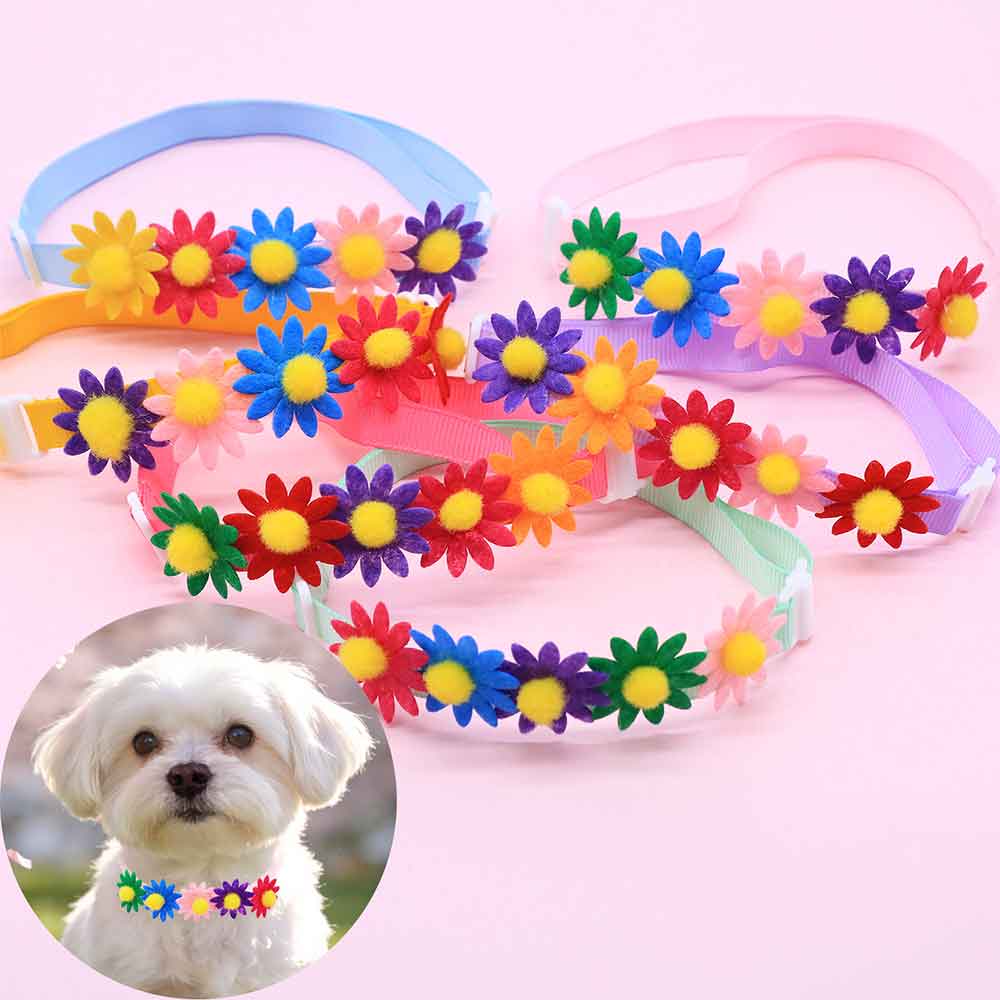 โบว์ผูกคอสุนัขหลากสี 50 ชิ้น พ - Pet Supplies In Bulk บทวิจารณ์และราคา