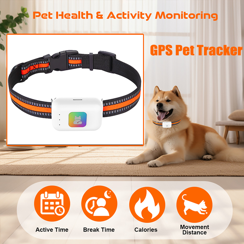 อุปกรณ์ติดตามสัตว์เลี้ยง GPS A - Pet Gps Tracker Collar บทวิจารณ์และราคา