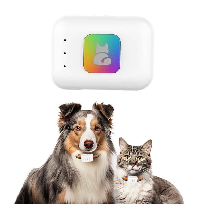 อุปกรณ์ติดตามสัตว์เลี้ยง GPS A - Pet Gps Tracker Collar บทวิจารณ์และราคา