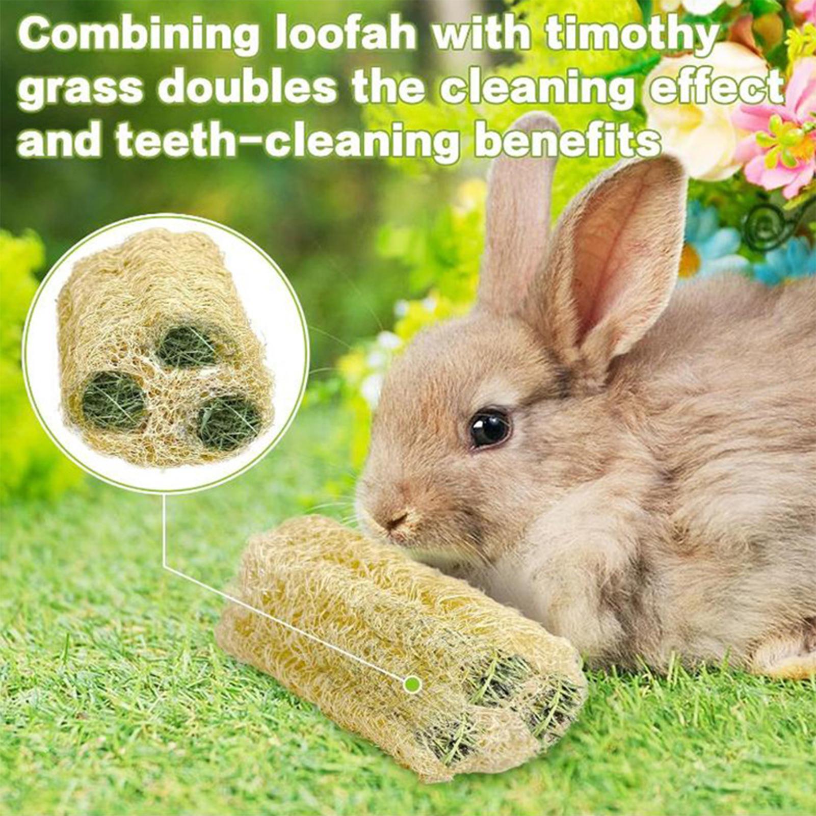 ของเล่นเคี้ยวสำหรับกระต่าย 4 ช - Pet Supplies Pet Shop บทวิจารณ์และราคา
