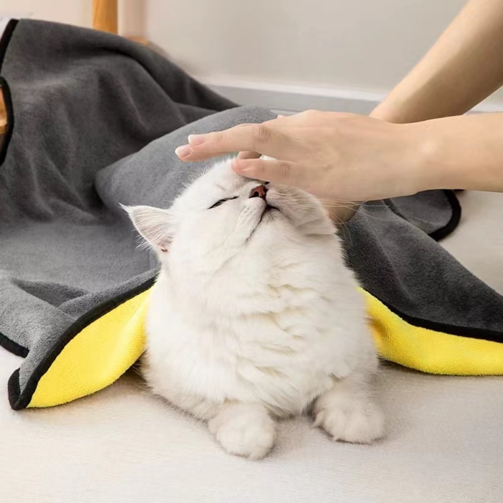 E5 ผ้าขนหนูสำหรับสัตว์เลี้ยงแบ - Pet Supplies Pet Shop บทวิจารณ์และราคา