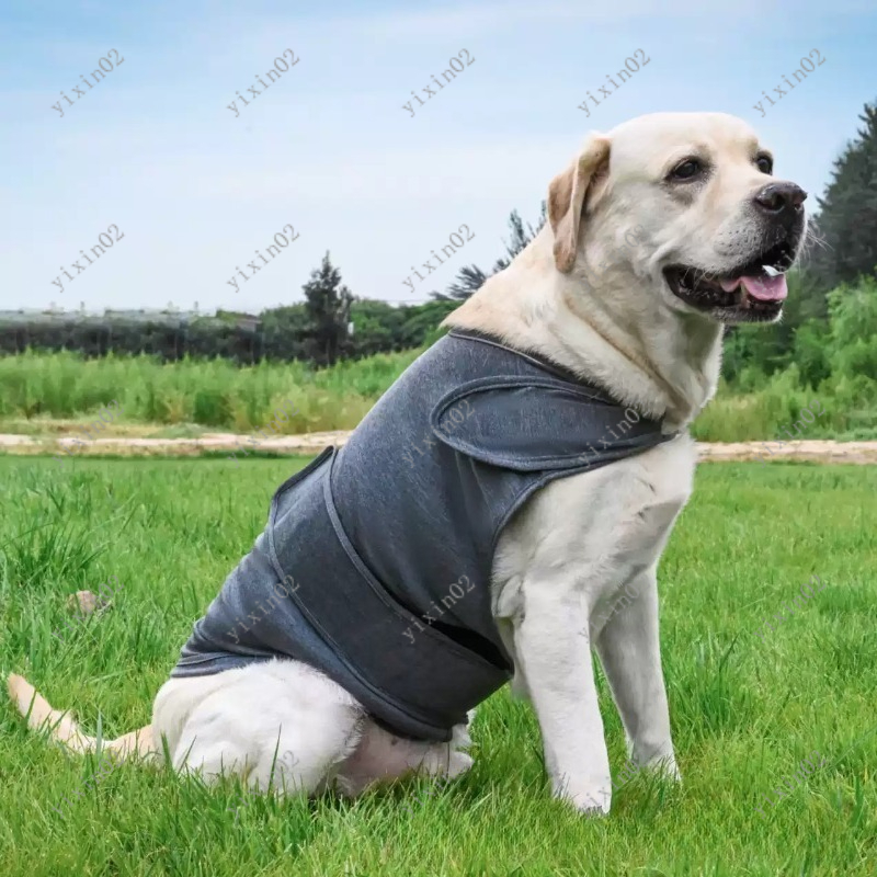 เสื้อกั๊กคลายเครียดสำหรับสุนัข - Dog Anxiety Vest บทวิจารณ์และราคา