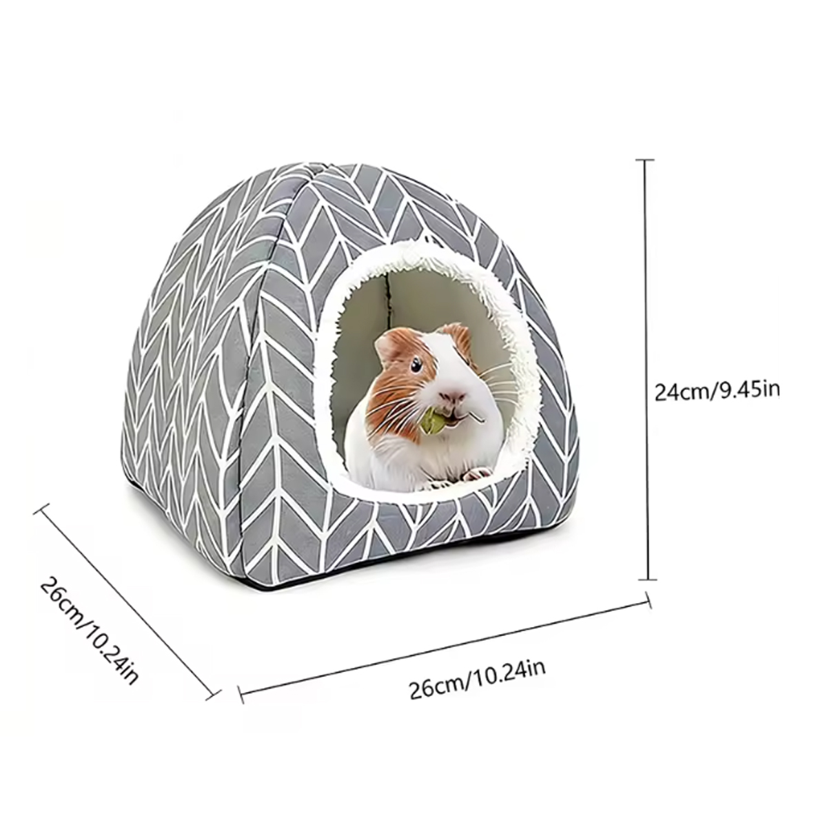บ้านแฮมสเตอร์ อุปกรณ์สำหรับกระ - Pet Supplies Plus บทวิจารณ์และราคา
