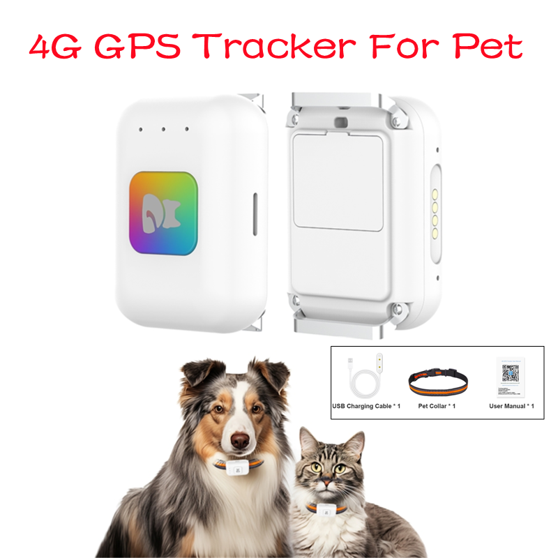 เครื่องติดตามสัตว์เลี้ยง GPS พ - Pet Gps Tracker Collar บทวิจารณ์และราคา