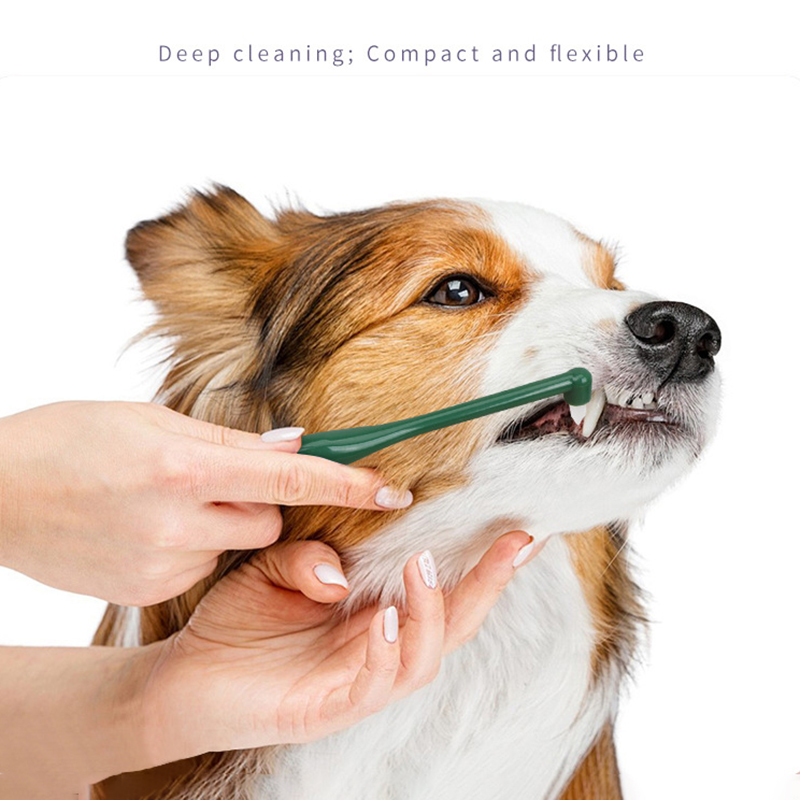 แปรงสีฟันไมโครเฮดสำหรับสุนัขแล - Pet Supplies Plus บทวิจารณ์และราคา