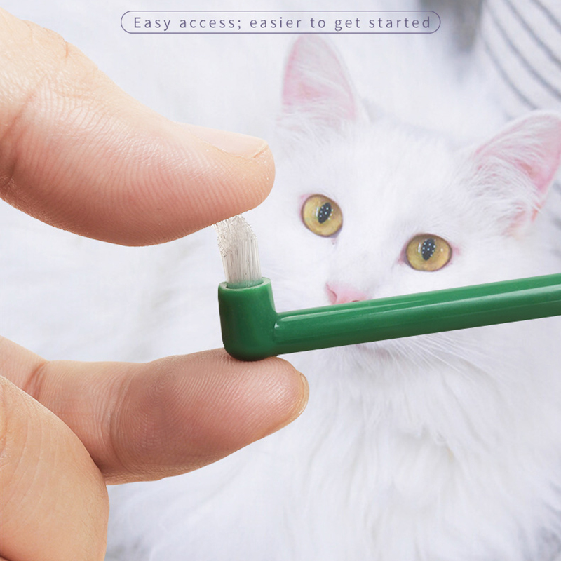 แปรงสีฟันไมโครเฮดสำหรับสุนัขแล - Pet Supplies Plus บทวิจารณ์และราคา