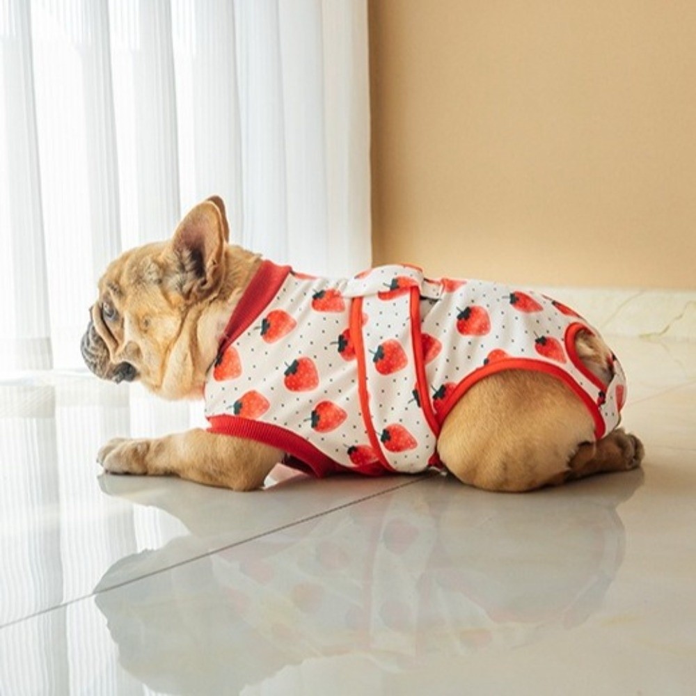 ชุดฟื้นฟูสุนัขแบบระบายอากาศได้ - Dog Anxiety Vest บทวิจารณ์และราคา