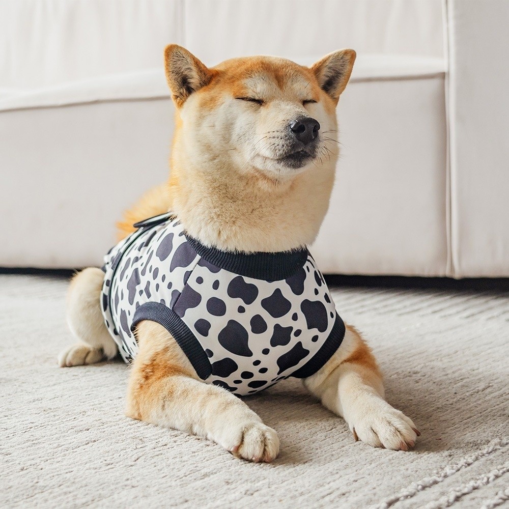 ชุดฟื้นฟูสุนัขแบบระบายอากาศได้ - Dog Anxiety Vest บทวิจารณ์และราคา