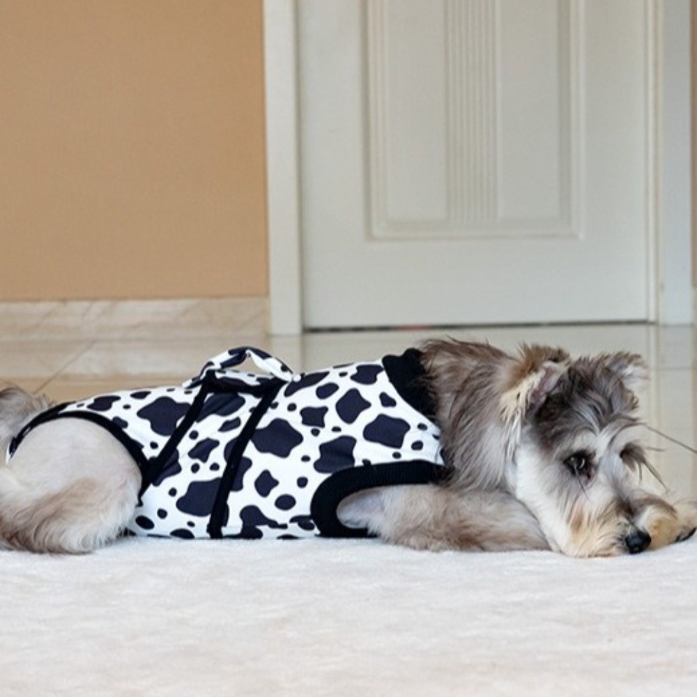 ชุดฟื้นฟูสุนัขแบบระบายอากาศได้ - Dog Anxiety Vest บทวิจารณ์และราคา