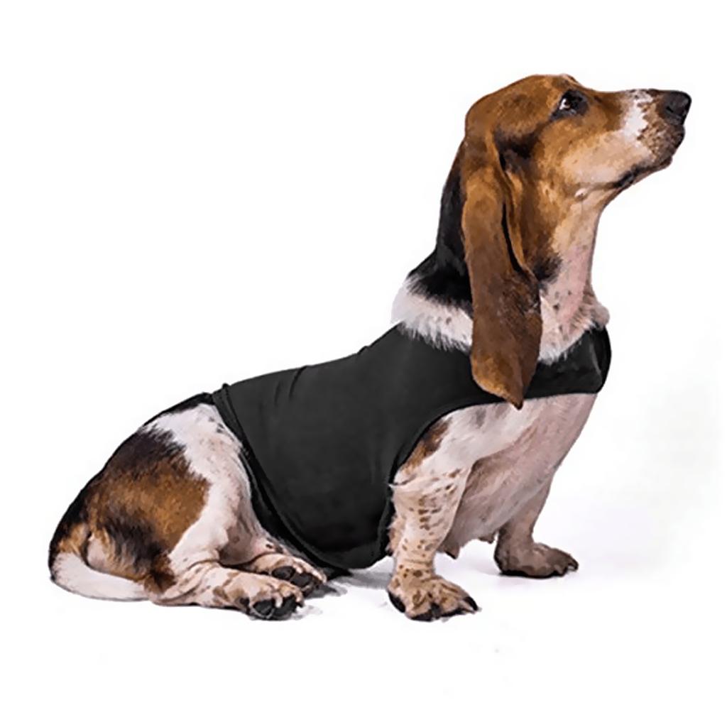 เสื้อแจ็คเก็ตสำหรับสัตว์เลี้ยง - Dog Anxiety Vest บทวิจารณ์และราคา