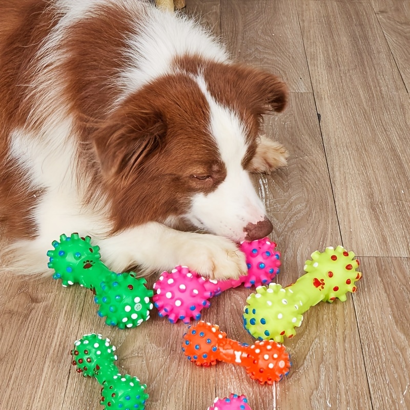 ของเล่นสุนัขสำหรับสุนัขขนาดใหญ - Pet Supplies Pet Shop บทวิจารณ์และราคา