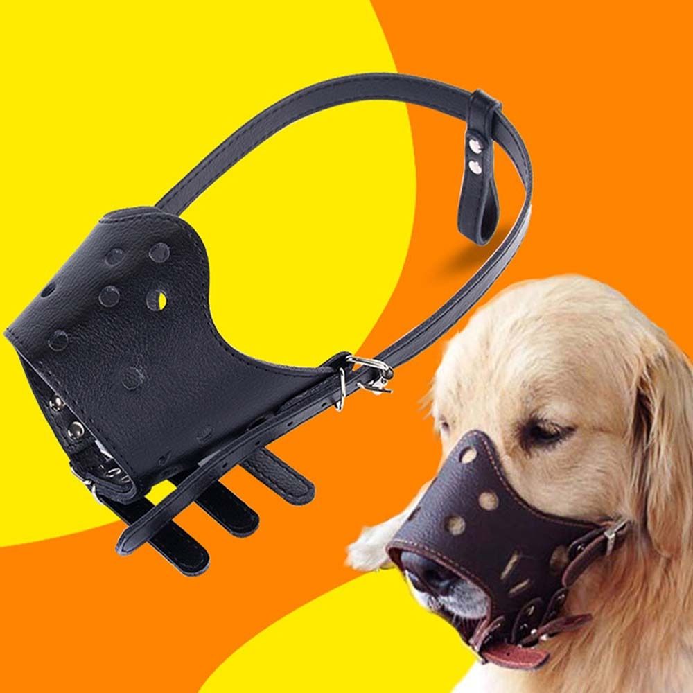 ที่ครอบปากสุนัข ป้องกันการกัด  - Pet Supplies Plus บทวิจารณ์และราคา