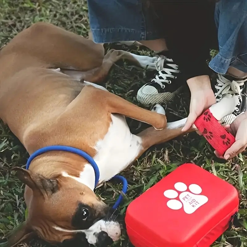 ชุดปฐมพยาบาลสัตว์เลี้ยงขนาดกะท - Pet Supplies First บทวิจารณ์และราคา