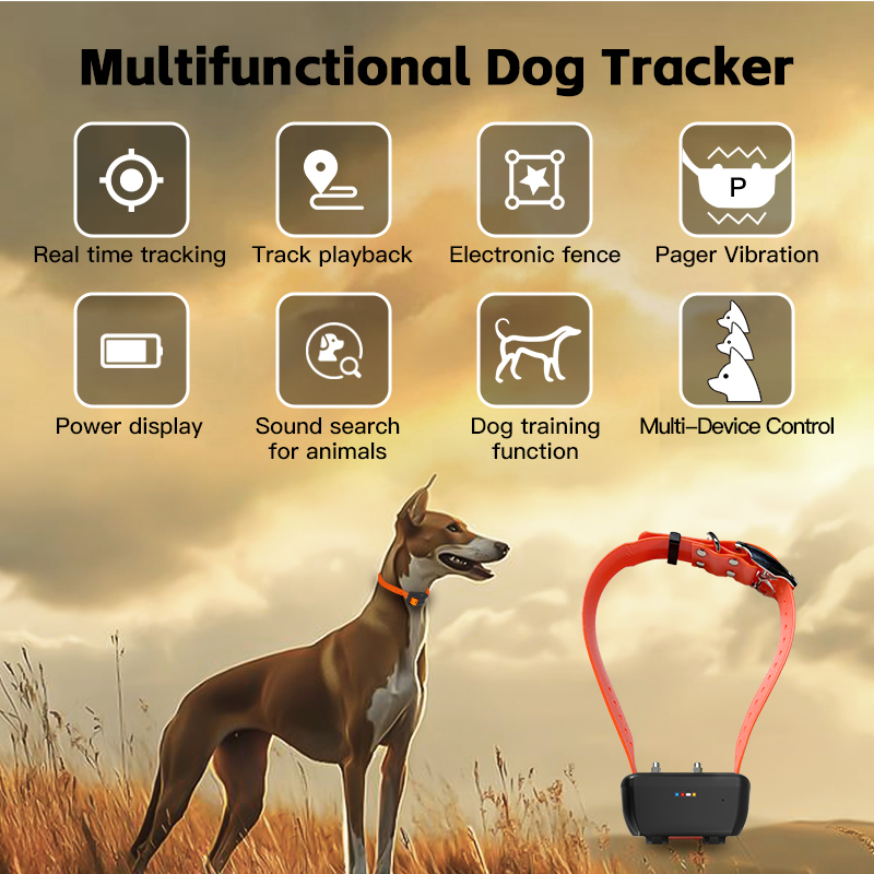 พิเศษ WiFi กันน้ํา GPS ปลอกคอส - Pet Gps Tracker Collar บทวิจารณ์และราคา