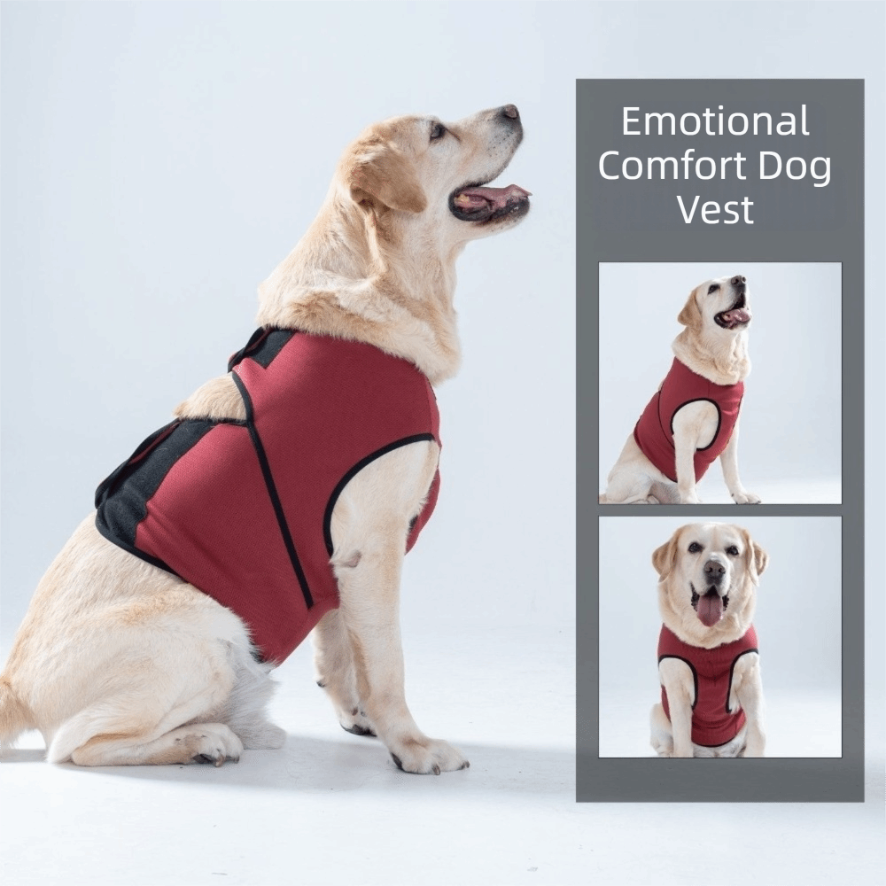 เสื้อกั๊กสำหรับสุนัขที่ระบายอา - Dog Anxiety Vest บทวิจารณ์และราคา