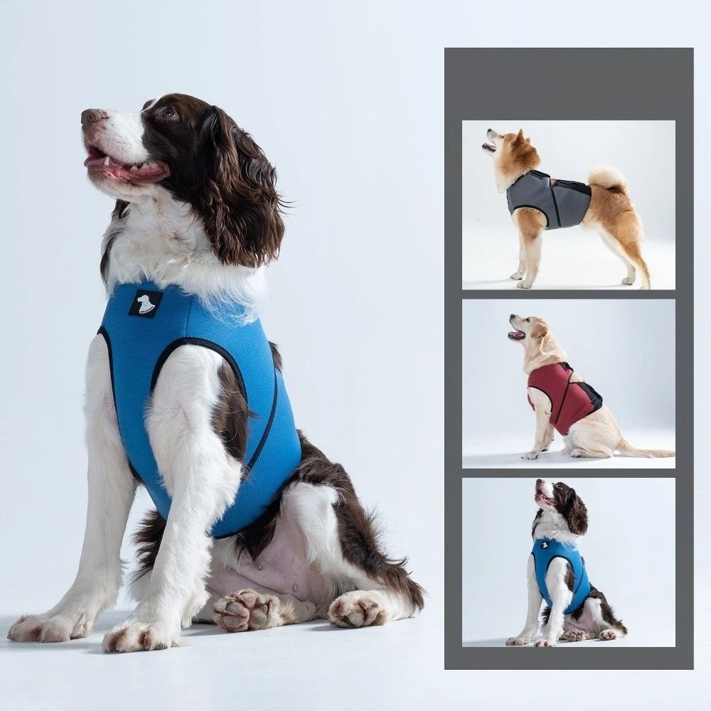 เสื้อผ้าสัตว์เลี้ยงเพื่อความสบ - Dog Anxiety Vest บทวิจารณ์และราคา