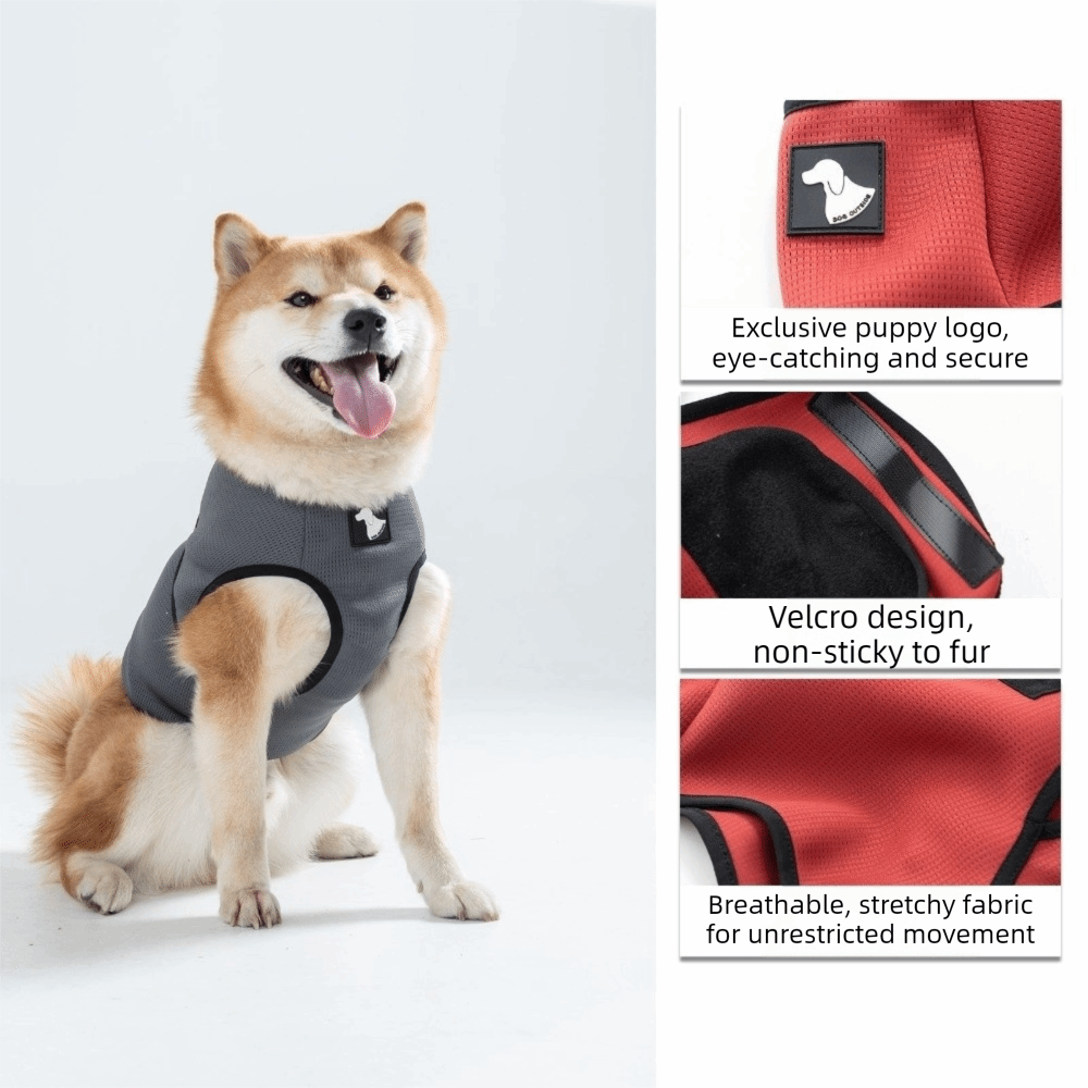 เสื้อผ้าสัตว์เลี้ยงเพื่อความสบ - Dog Anxiety Vest บทวิจารณ์และราคา