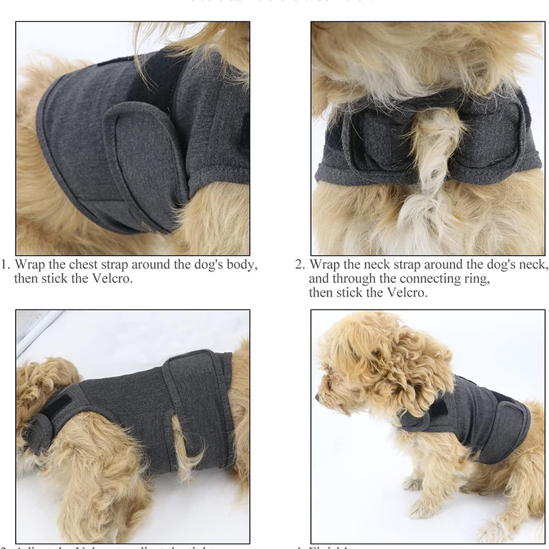 เสื้อกั๊กสำหรับสุนัขลดความวิตก - Dog Anxiety Vest บทวิจารณ์และราคา
