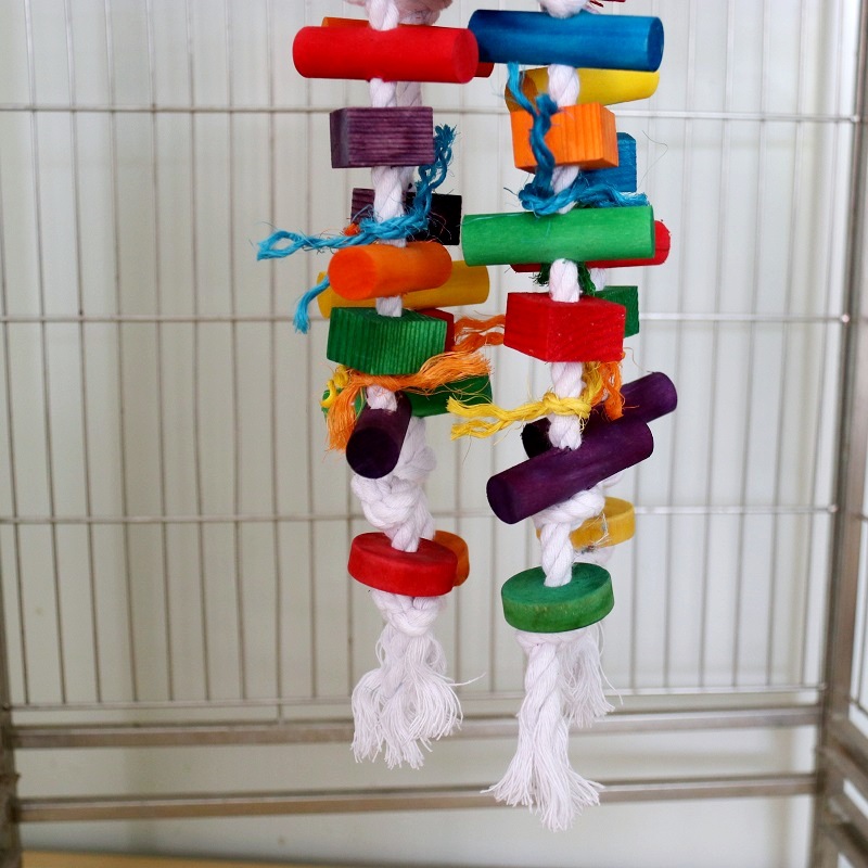 ของเล่นนกแก้ว ที่นั่งแกว่งไม้ห - Pet Supplies Plus บทวิจารณ์และราคา