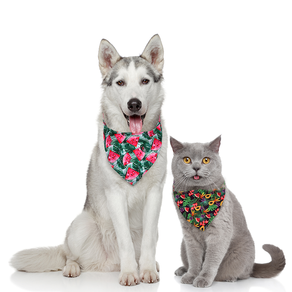 8 ชิ้นผ้าพันคอสุนัขผลไม้สไตล์ผ - Pet Supplies In Bulk บทวิจารณ์และราคา