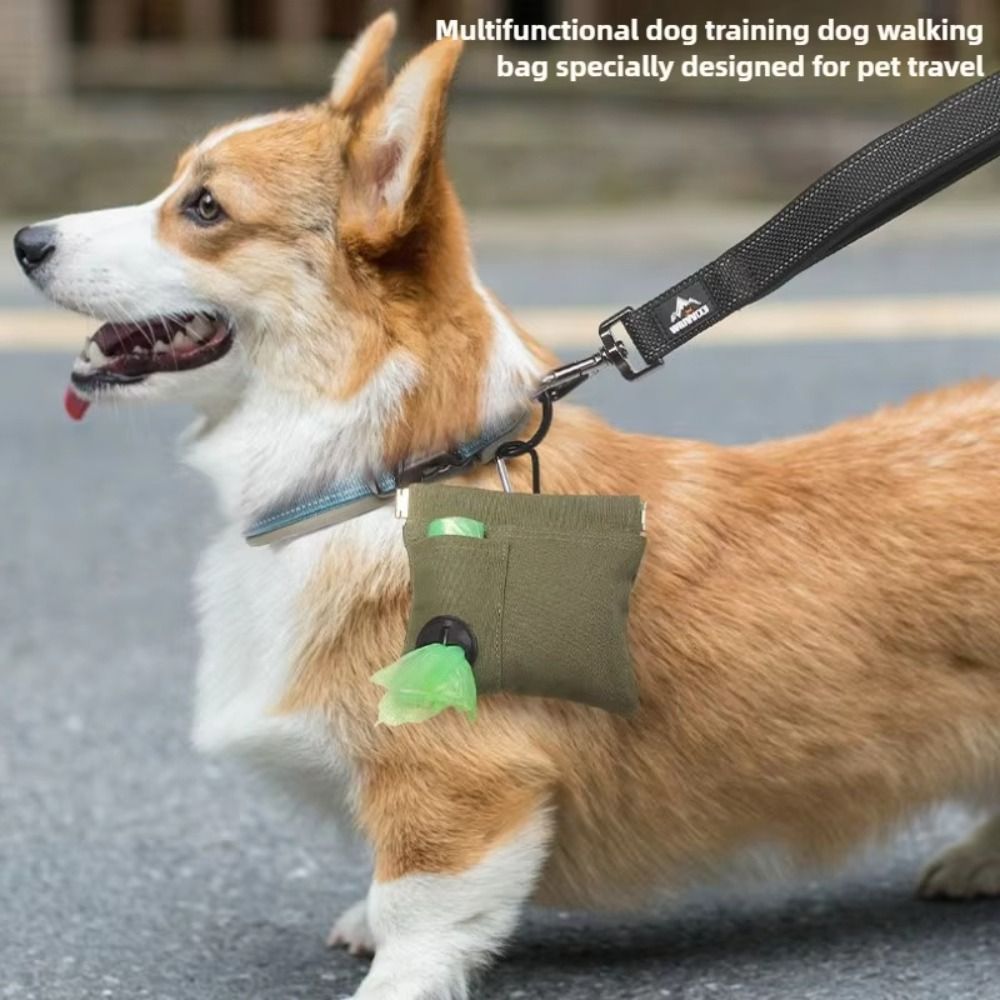 กระเป๋าคาดเอวสำหรับฝึกสัตว์เลี - Pet Supplies Plus บทวิจารณ์และราคา