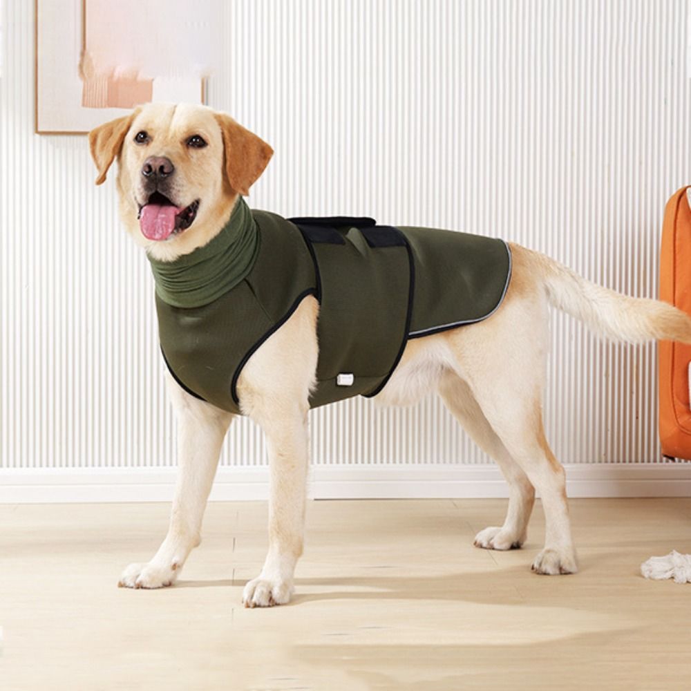 เสื้อกั๊กคลุมสุนัขแบบยืดหยุ่น  - Dog Anxiety Vest บทวิจารณ์และราคา