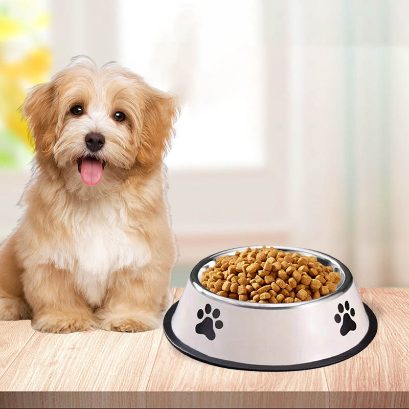 ชามสแตนเลสสำหรับสัตว์เลี้ยง ชา - Pet Supplies Plus บทวิจารณ์และราคา