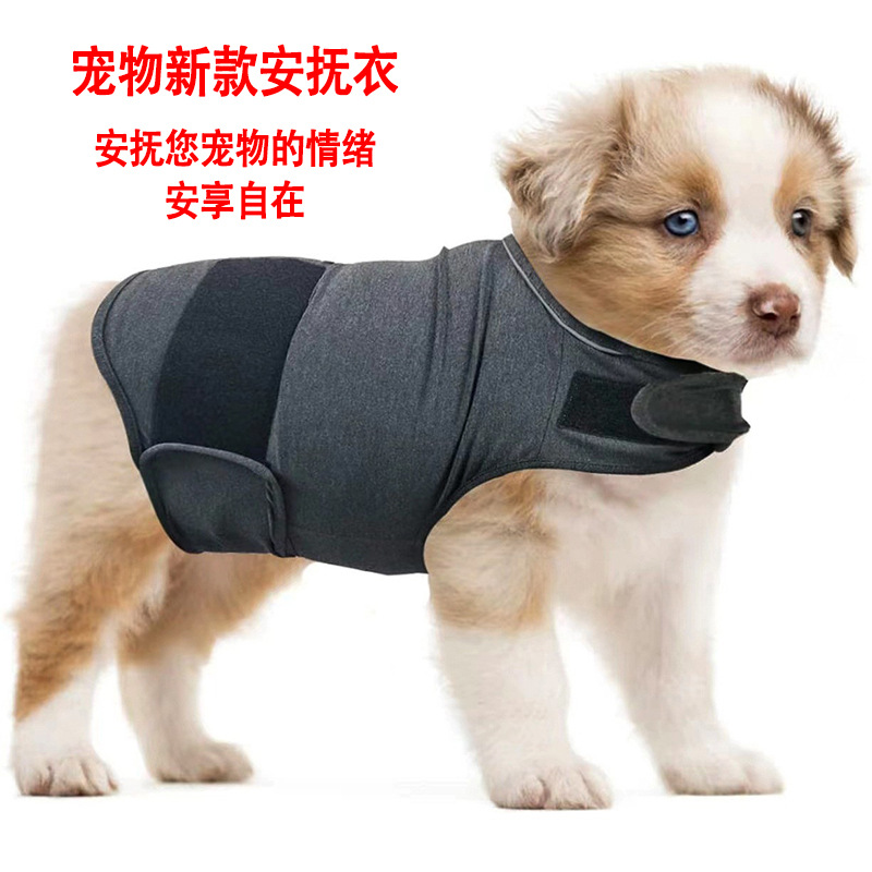 เสื้อคลุมลดความวิตกกังวลสำหรับ - Dog Anxiety Vest บทวิจารณ์และราคา
