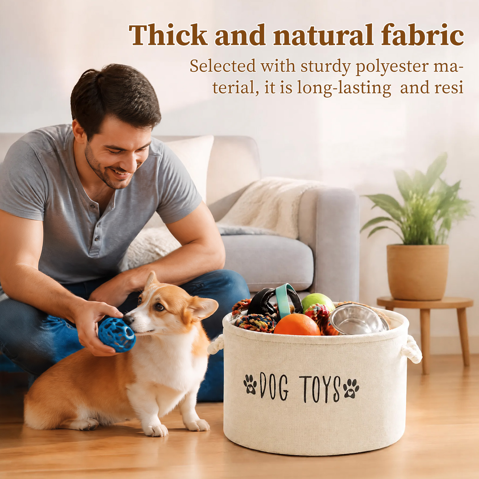 ตะกร้าเก็บของเล่นสัตว์เลี้ยง ก - Pet Supplies Plus บทวิจารณ์และราคา