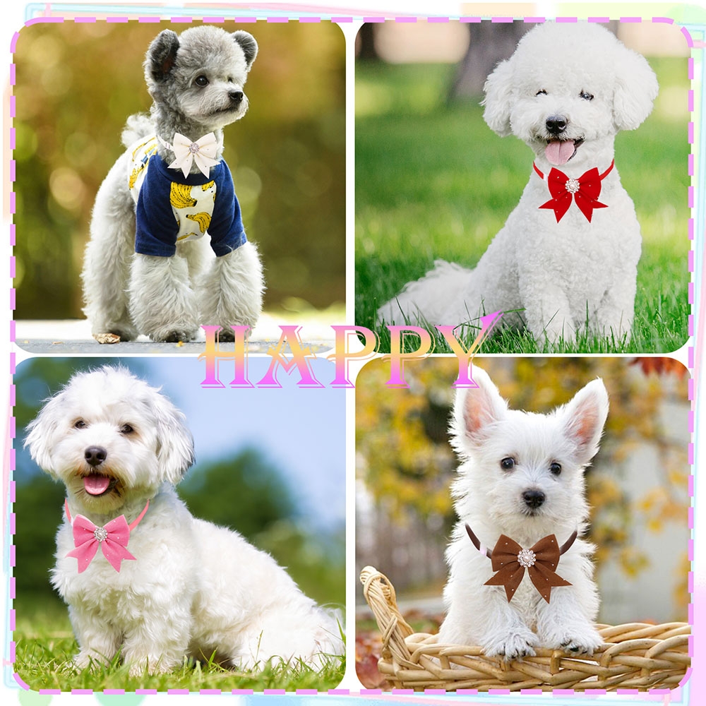 8PCS ปลอกคอสุนัขดอกไม้ริบบิ้นเ - Pet Supplies In Bulk บทวิจารณ์และราคา