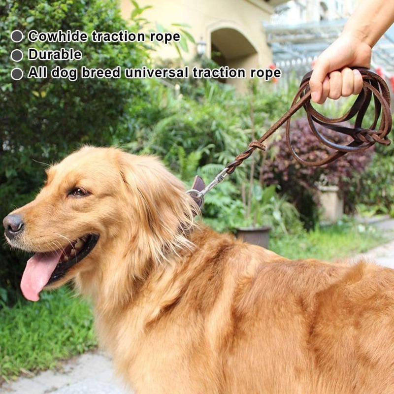 สายจูงหนังวัวชั้นแรก สายจูงสุน - Pet Supplies First บทวิจารณ์และราคา