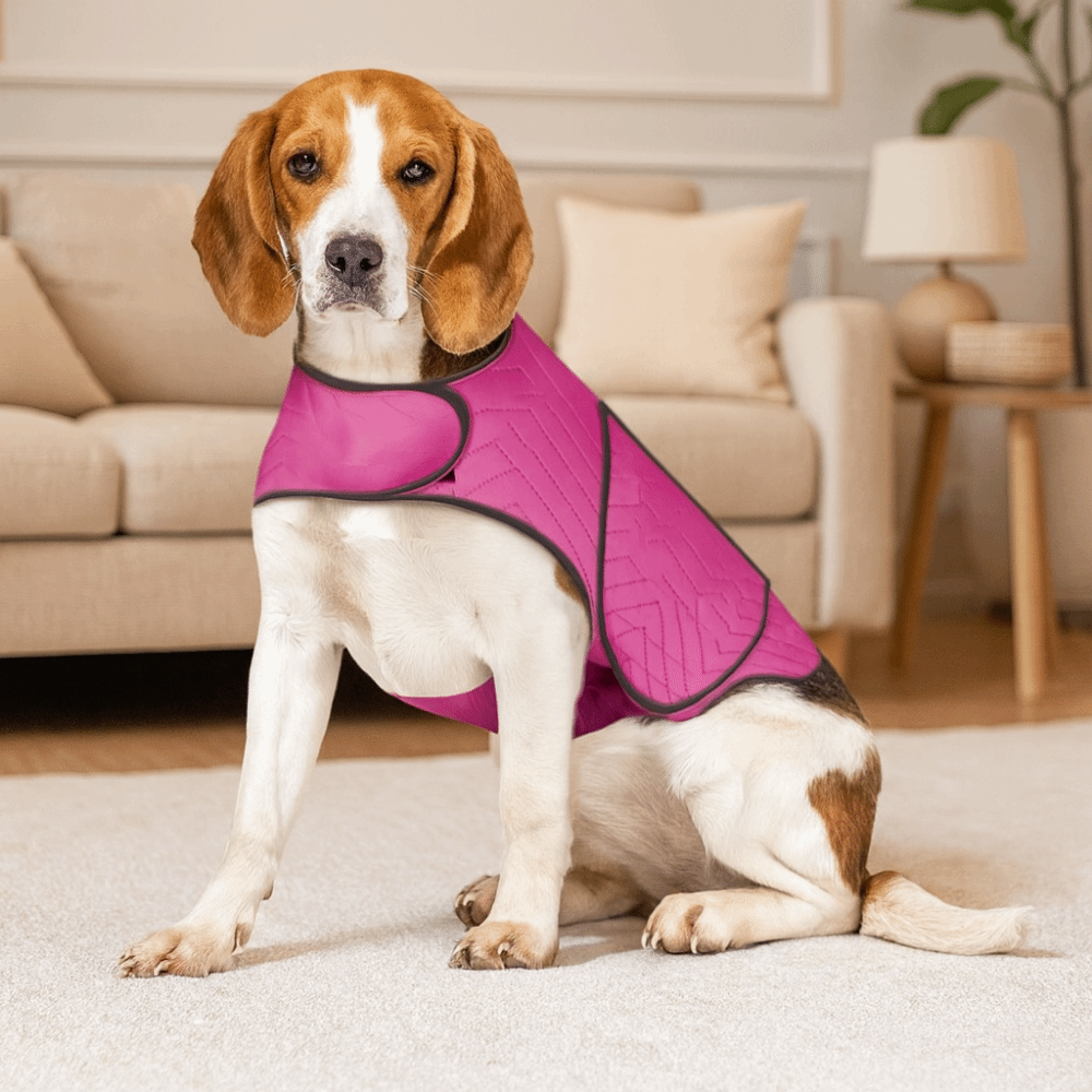 เสื้อกั๊กสำหรับสุนัขลดความวิตก - Dog Anxiety Vest บทวิจารณ์และราคา