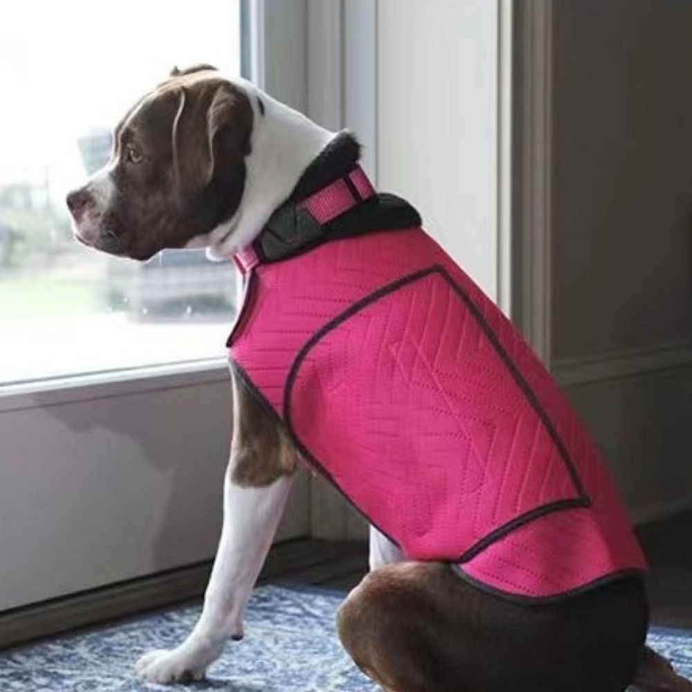 เสื้อกั๊กสำหรับสุนัขลดความวิตก - Dog Anxiety Vest บทวิจารณ์และราคา