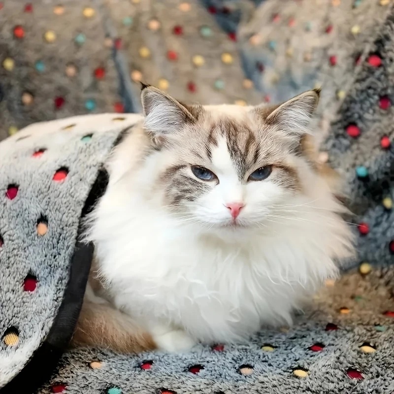 3PCS Soft Fluffy ผ้าห่มสัตว์เล - Pet Supplies Plus บทวิจารณ์และราคา