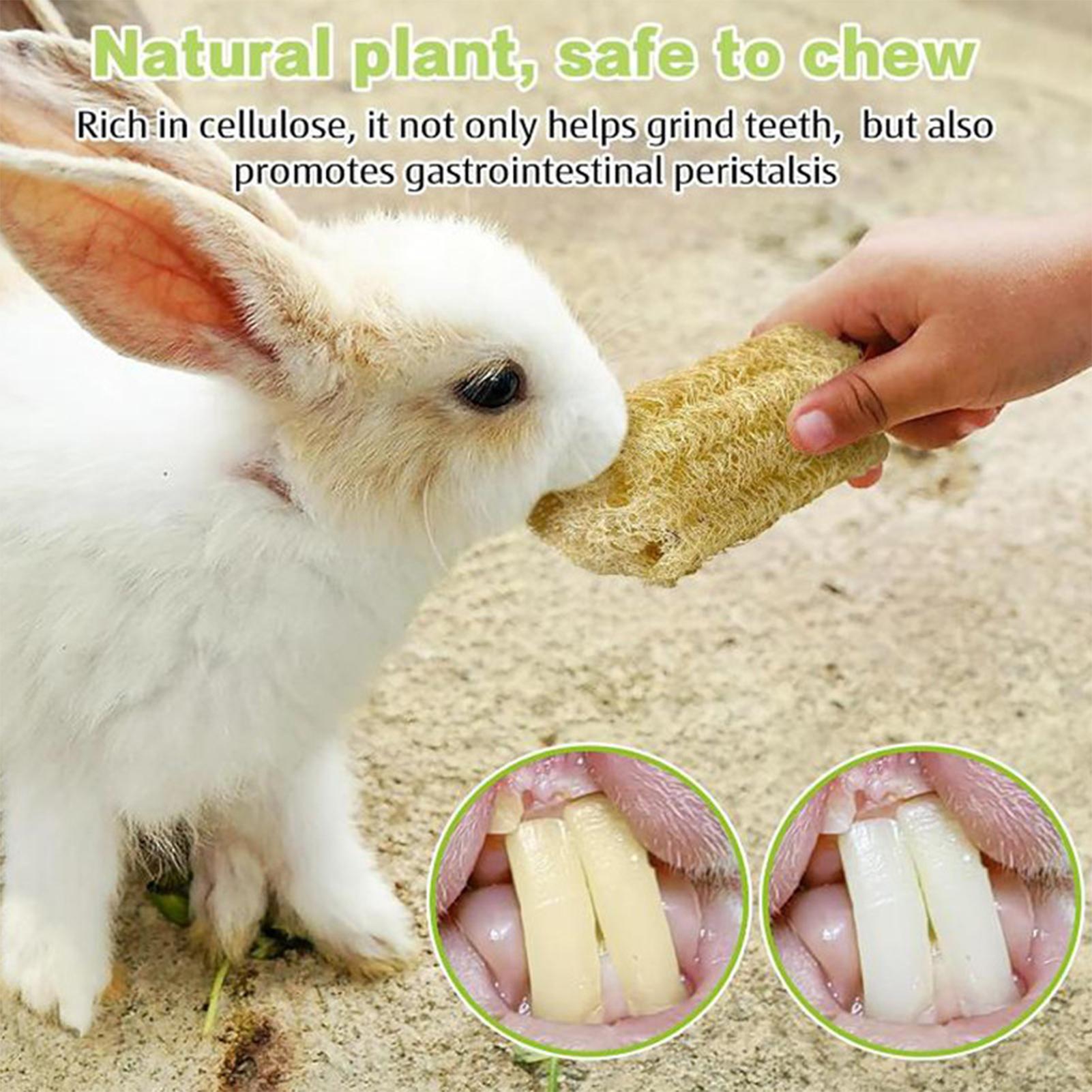 ของเล่นเคี้ยวสำหรับกระต่าย 4 ช - Pet Supplies Pet Shop บทวิจารณ์และราคา