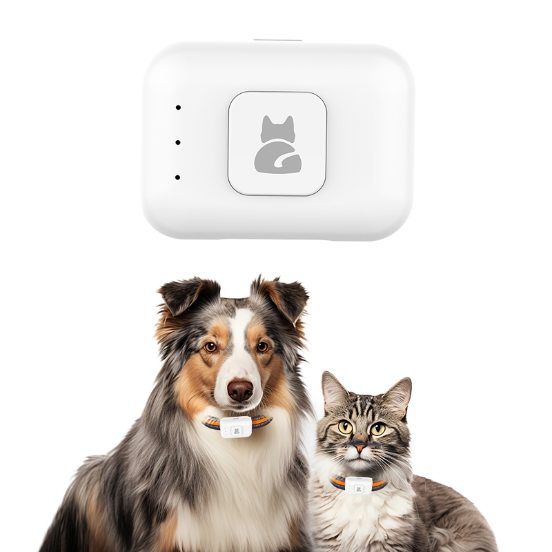 เครื่องติดตามสัตว์เลี้ยง GPS พ - Pet Gps Tracker Collar บทวิจารณ์และราคา