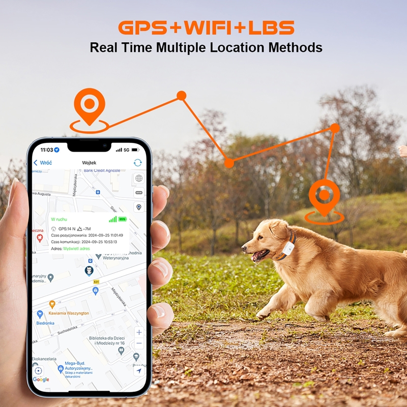 เครื่องติดตามสัตว์เลี้ยง GPS พ - Pet Gps Tracker Collar บทวิจารณ์และราคา