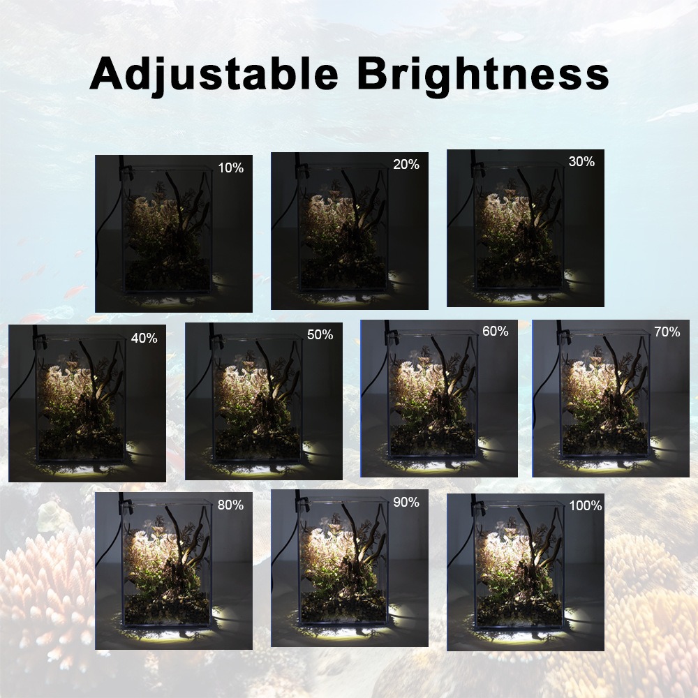 ไฟ LED สำหรับตู้ปลาแบบบางพิเศษ - Pet Supplies Pet Shop บทวิจารณ์และราคา