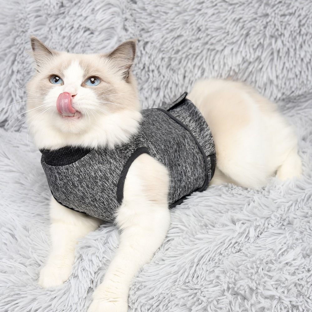 เสื้อกั๊กปรับระดับได้สำหรับแมว - Dog Anxiety Vest บทวิจารณ์และราคา