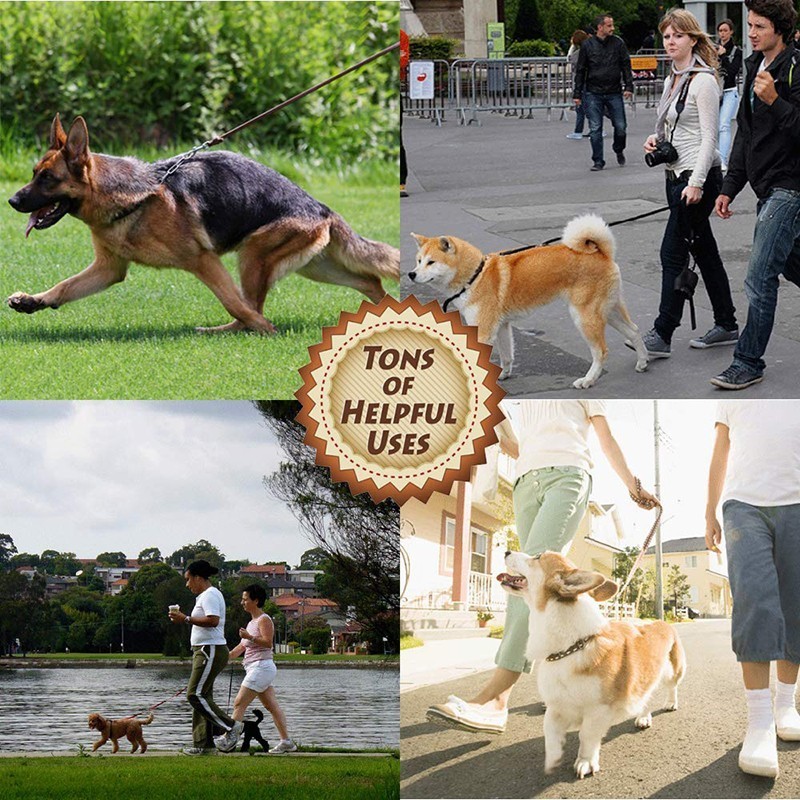 BenepawคุณภาพสูงCowhideหนังสาย - Pet Supplies Pet Shop บทวิจารณ์และราคา