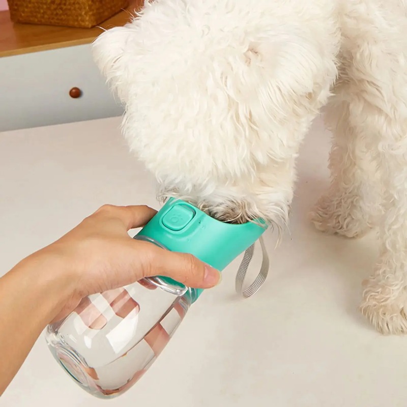 ขวดน้ำพกพาสำหรับสัตว์เลี้ยงขนา - Pet Supplies Plus บทวิจารณ์และราคา